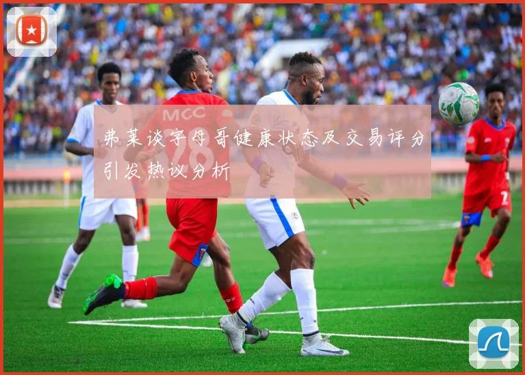 弗莱谈字母哥健康状态及交易评分引发热议分析